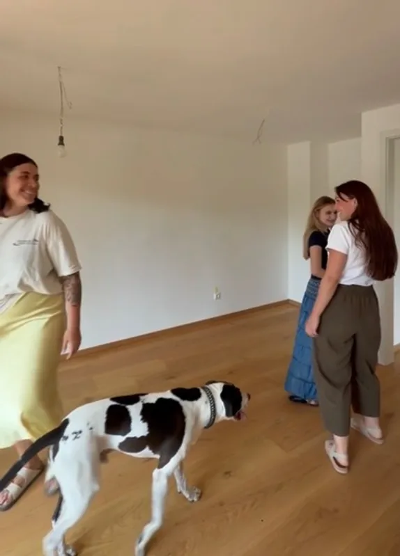 Three colleagues laughing together in an empty apartment as the studio dog walks past