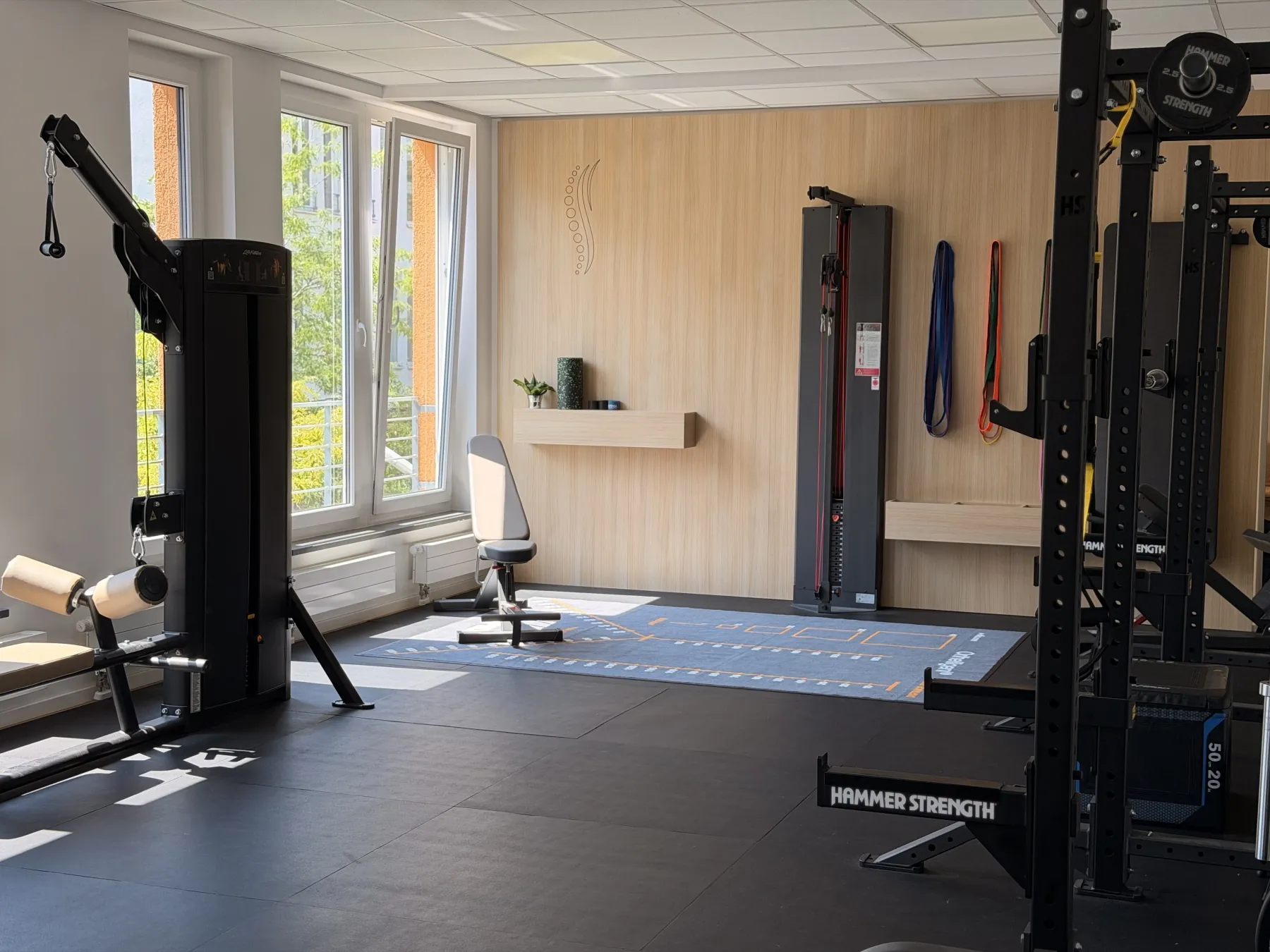 Physiotherapy Practice Munich: training room with an oak wall, cable machines and resistance bands